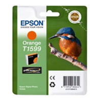 Epson Stylus Photo R2000 Original T1599