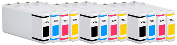 12 PACK COMPAT XL