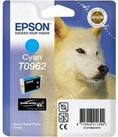 R2880 T0962 Epson Original