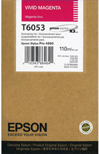 Pro 4880 T6053 Epson Original