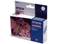 T0336 Epson Original